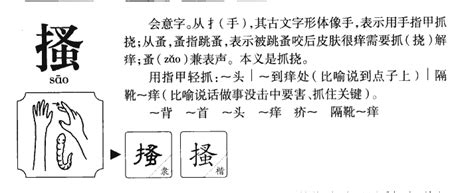 弧的成語|帶有弧字的成語